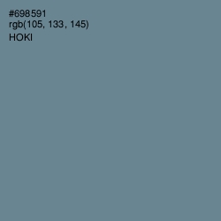 #698591 - Hoki Color Image