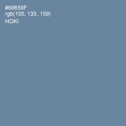 #69859F - Hoki Color Image