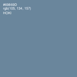 #69869D - Hoki Color Image
