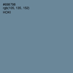 #698798 - Hoki Color Image