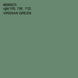 #698870 - Viridian Green Color Image