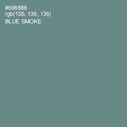 #698888 - Blue Smoke Color Image