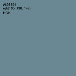 #698894 - Hoki Color Image