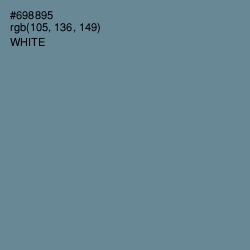 #698895 - Hoki Color Image