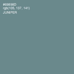 #69898D - Juniper Color Image