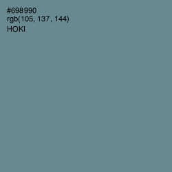 #698990 - Hoki Color Image