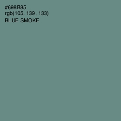 #698B85 - Blue Smoke Color Image