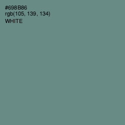 #698B86 - Blue Smoke Color Image