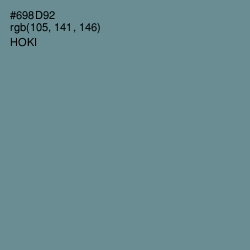 #698D92 - Hoki Color Image