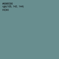 #698E90 - Hoki Color Image