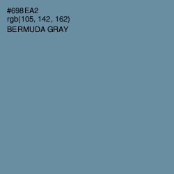 #698EA2 - Bermuda Gray Color Image