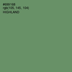 #699168 - Highland Color Image