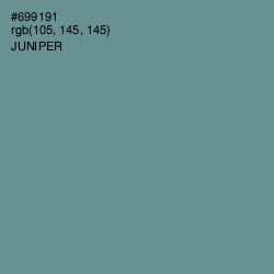 #699191 - Juniper Color Image