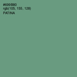 #699B80 - Patina Color Image
