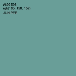 #699E98 - Juniper Color Image