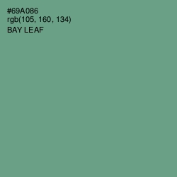 #69A086 - Bay Leaf Color Image