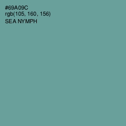 #69A09C - Sea Nymph Color Image