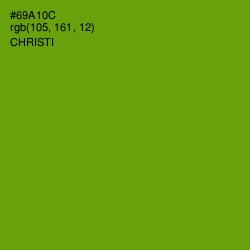 #69A10C - Christi Color Image