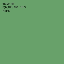 #69A16B - Fern Color Image