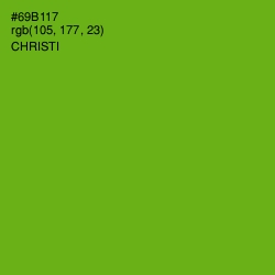 #69B117 - Christi Color Image