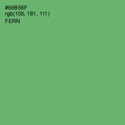 #69B56F - Fern Color Image