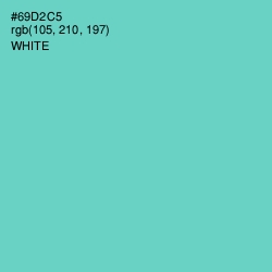#69D2C5 - Downy Color Image