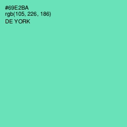 #69E2BA - De York Color Image
