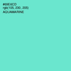 #69E6CD - Aquamarine Color Image