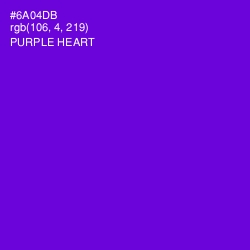 #6A04DB - Purple Heart Color Image