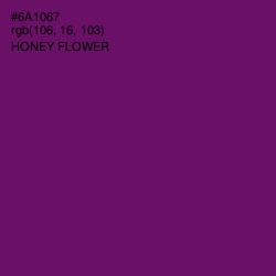 #6A1067 - Honey Flower Color Image