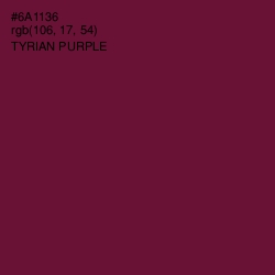 #6A1136 - Tyrian Purple Color Image