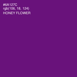#6A127C - Honey Flower Color Image