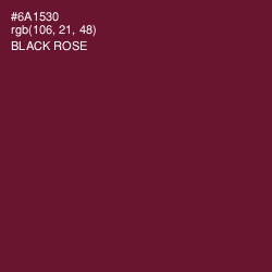 #6A1530 - Black Rose Color Image
