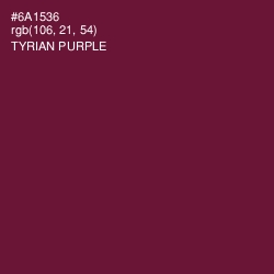 #6A1536 - Tyrian Purple Color Image