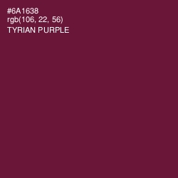 #6A1638 - Tyrian Purple Color Image