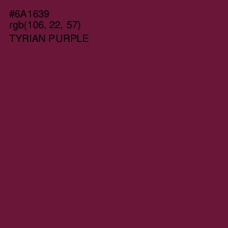 #6A1639 - Tyrian Purple Color Image