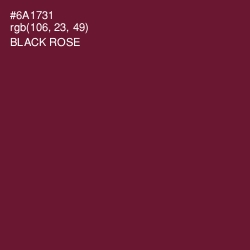 #6A1731 - Black Rose Color Image