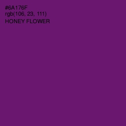 #6A176F - Honey Flower Color Image