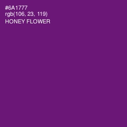 #6A1777 - Honey Flower Color Image