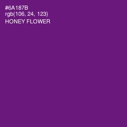 #6A187B - Honey Flower Color Image