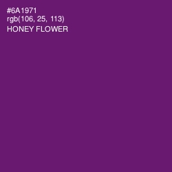 #6A1971 - Honey Flower Color Image