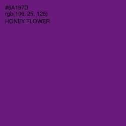 #6A197D - Honey Flower Color Image