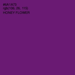 #6A1A73 - Honey Flower Color Image