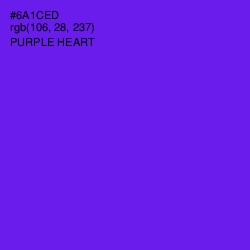 #6A1CED - Purple Heart Color Image