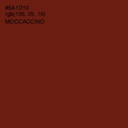 #6A1D10 - Moccaccino Color Image