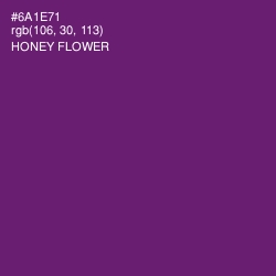 #6A1E71 - Honey Flower Color Image