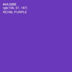 #6A39BB - Royal Purple Color Image