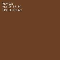 #6A4022 - Pickled Bean Color Image
