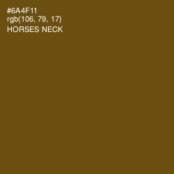 #6A4F11 - Horses Neck Color Image