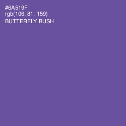 #6A519F - Butterfly Bush Color Image